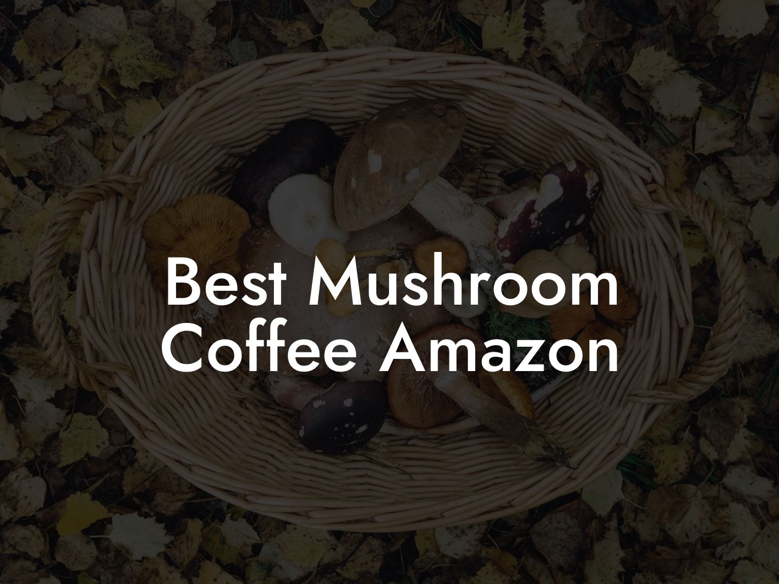 Best Mushroom Coffee Amazon