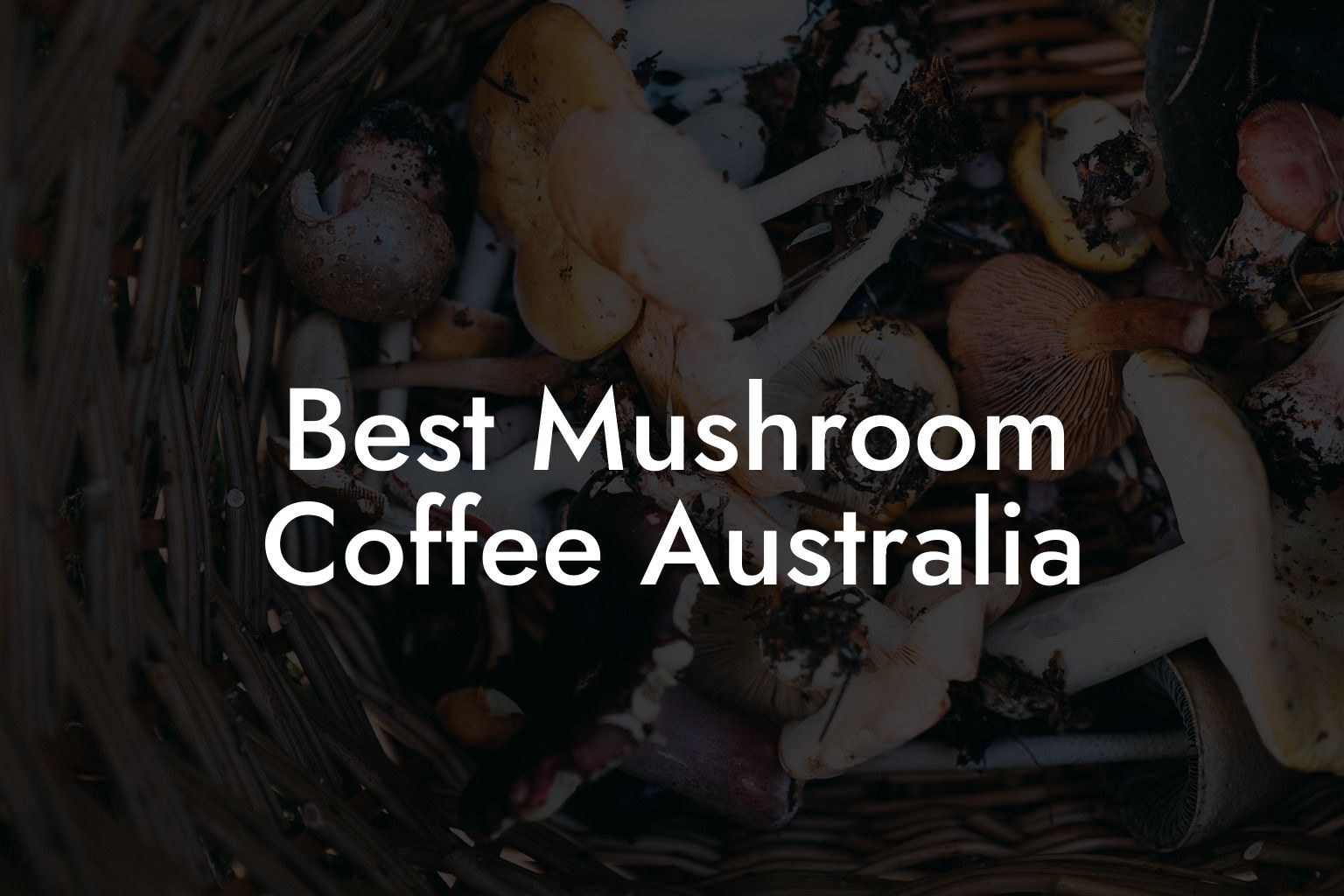 Best Mushroom Coffee Australia