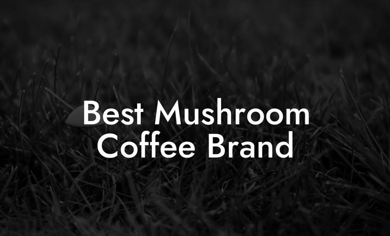 Best Mushroom Coffee Brand