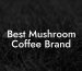 Best Mushroom Coffee Brand