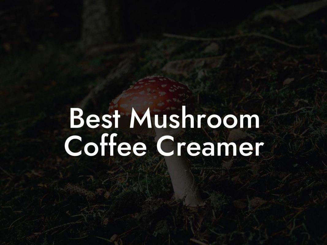 Best Mushroom Coffee Creamer