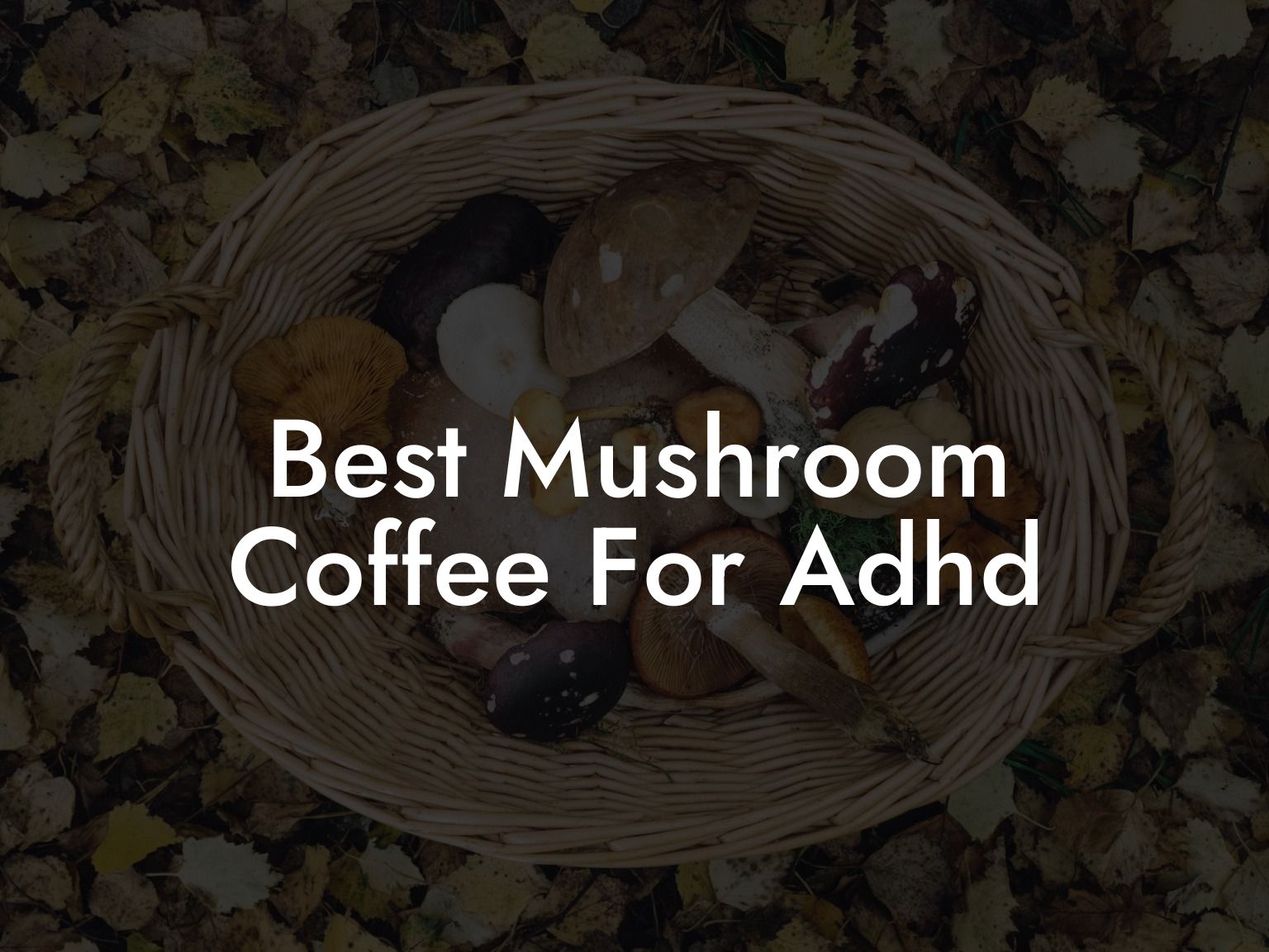 Best Mushroom Coffee For Adhd