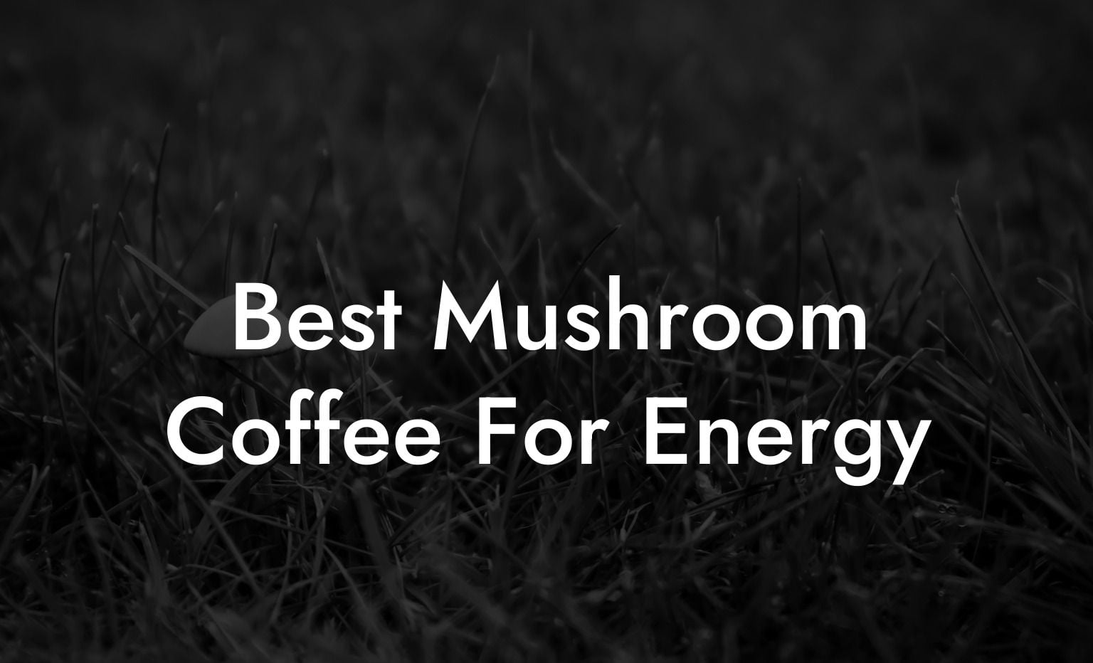 Best Mushroom Coffee For Energy