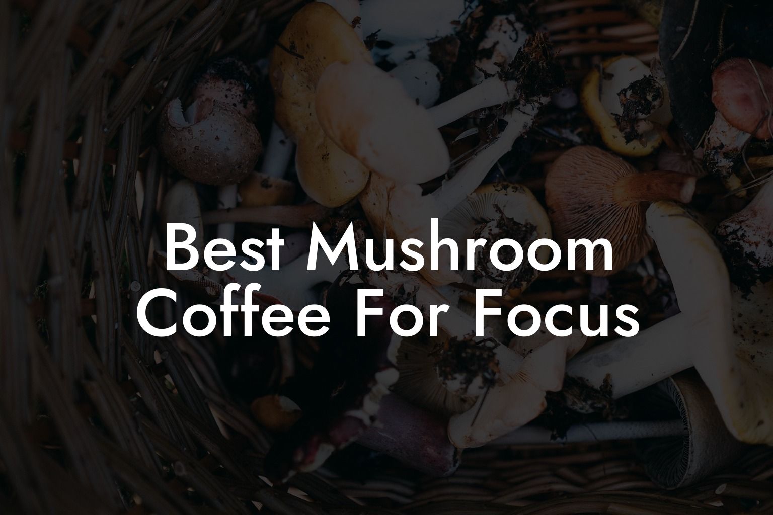 Best Mushroom Coffee For Focus
