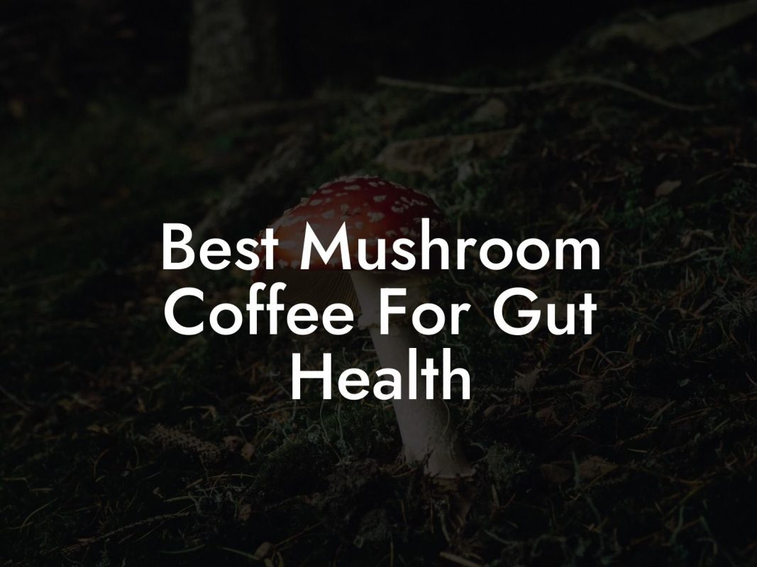 Best Mushroom Coffee For Gut Health