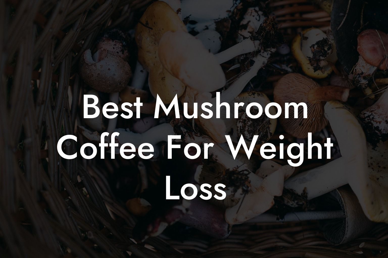 Best Mushroom Coffee For Weight Loss