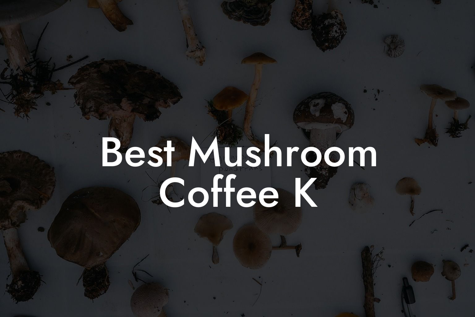 Best Mushroom Coffee K