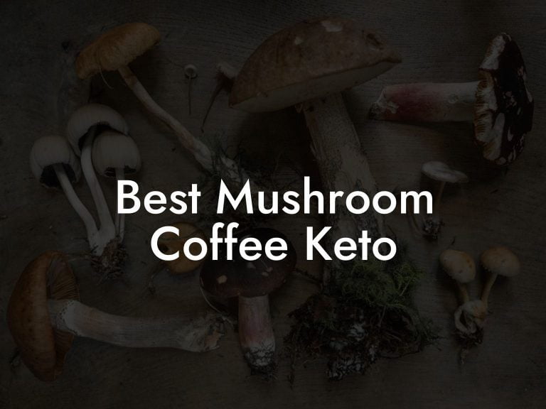Best Mushroom Coffee Keto Mr Mushroom