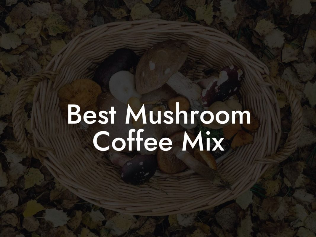 Best Mushroom Coffee Mix