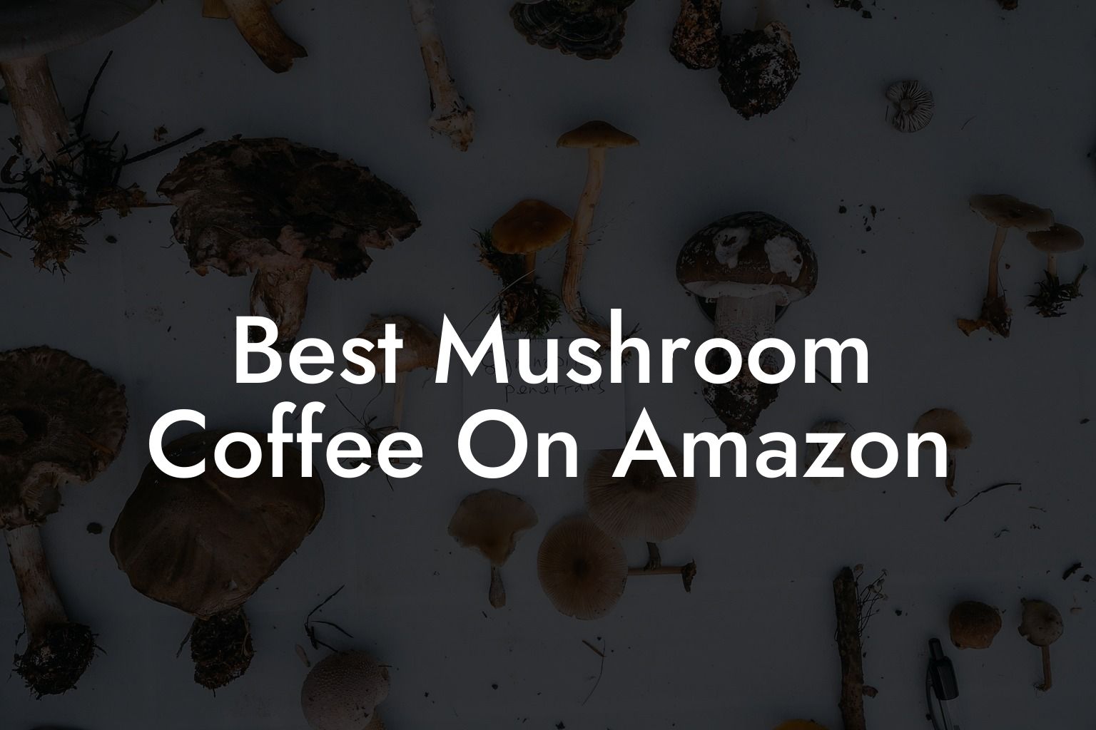 Best Mushroom Coffee On Amazon