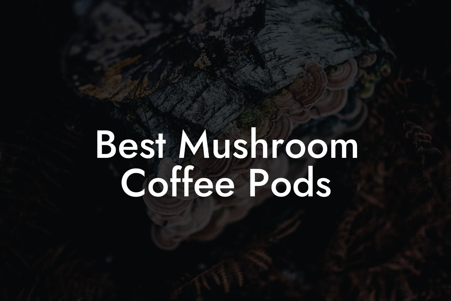 Best Mushroom Coffee Pods