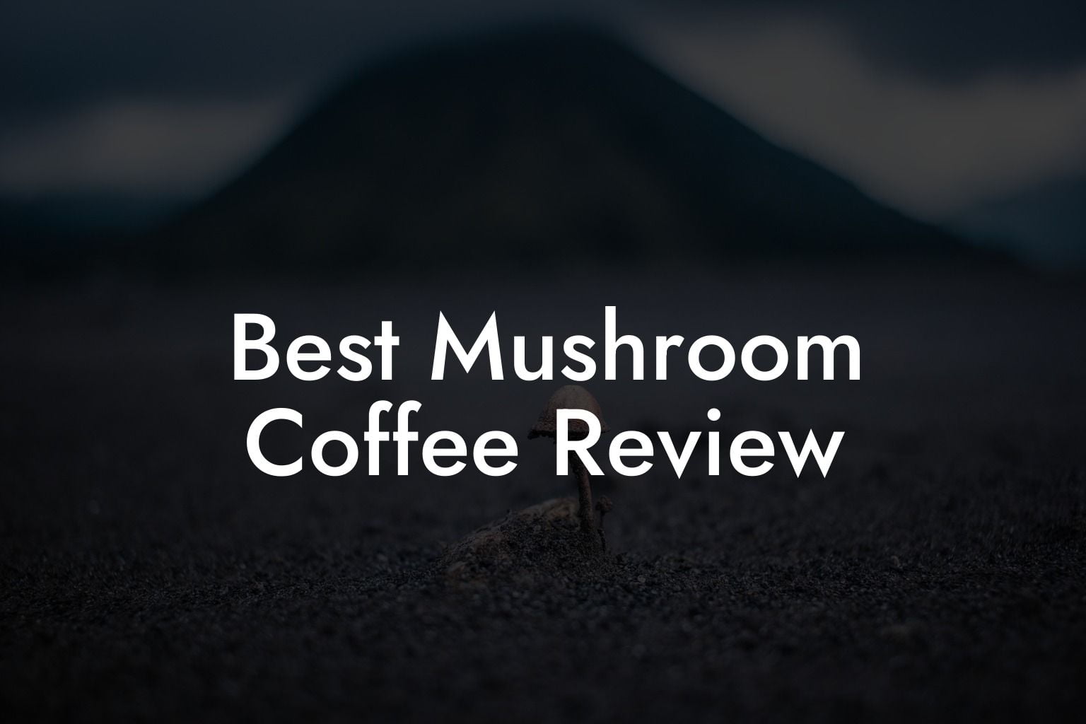 Best Mushroom Coffee Review