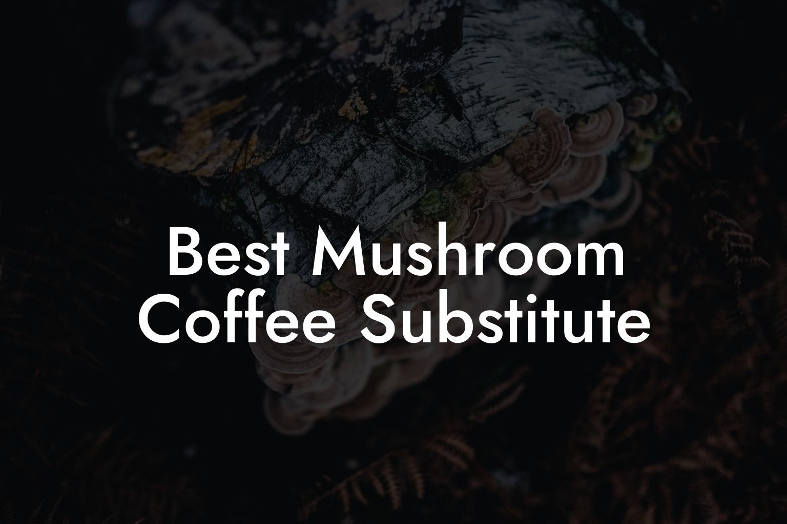 Best Mushroom Coffee Substitute