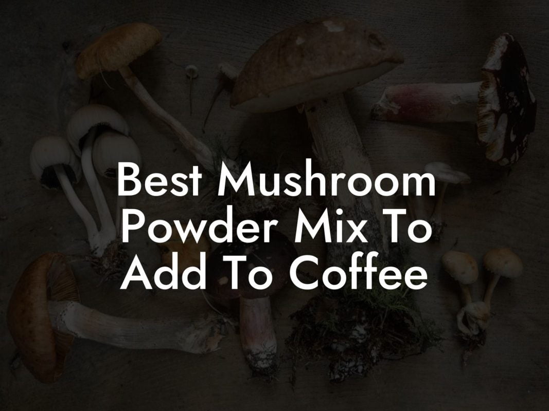 Best Mushroom Powder Mix To Add To Coffee