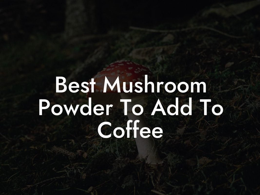 Best Mushroom Powder To Add To Coffee