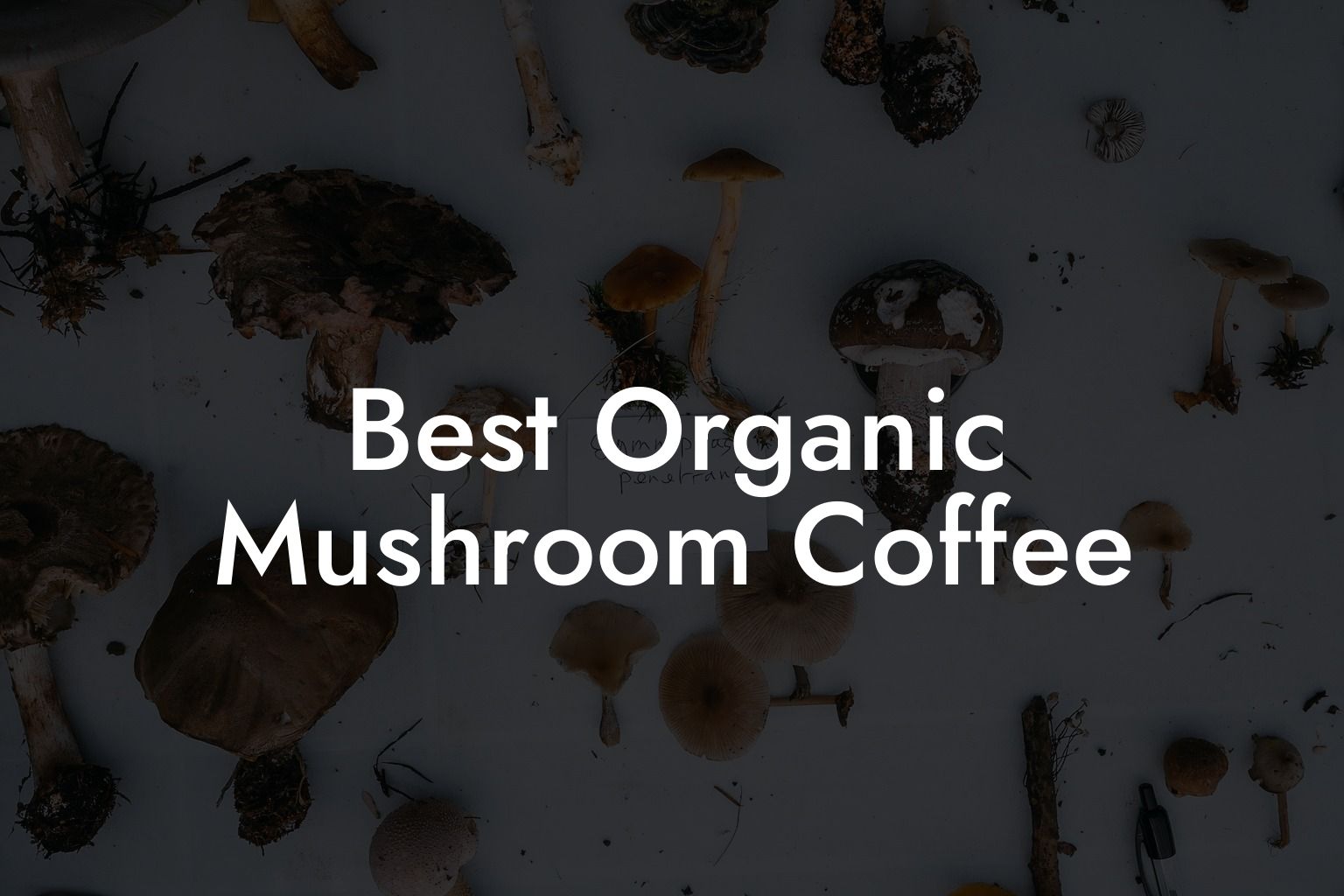 Best Organic Mushroom Coffee