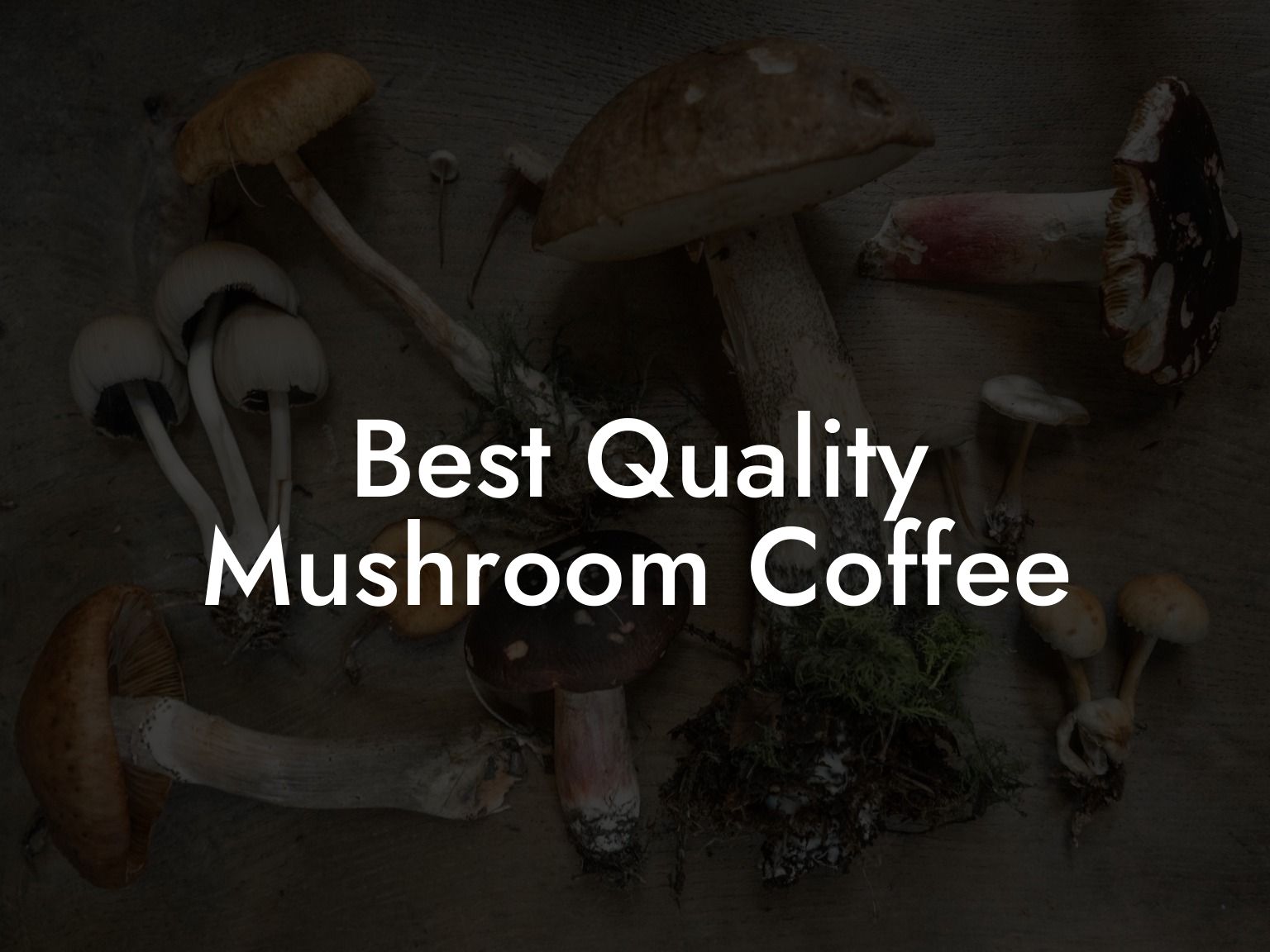 Best Quality Mushroom Coffee