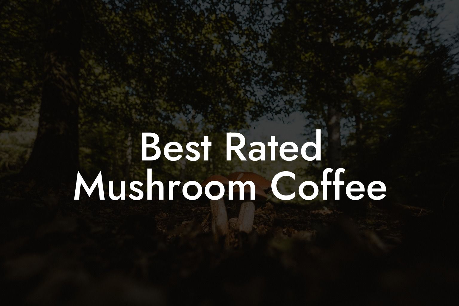 Best Rated Mushroom Coffee
