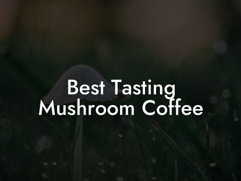 Best Tasting Mushroom Coffee Mr Mushroom