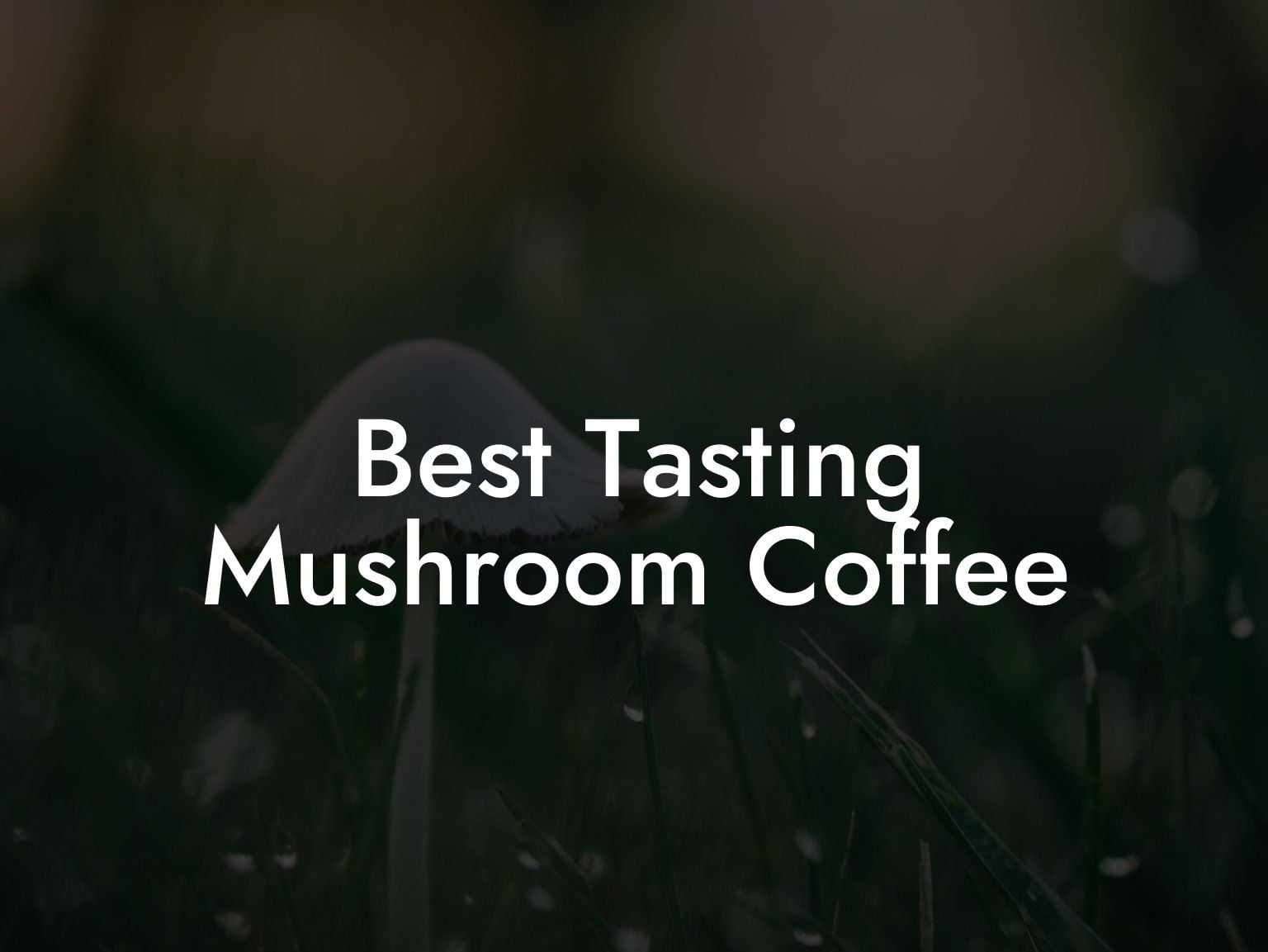 Best Tasting Mushroom Coffee