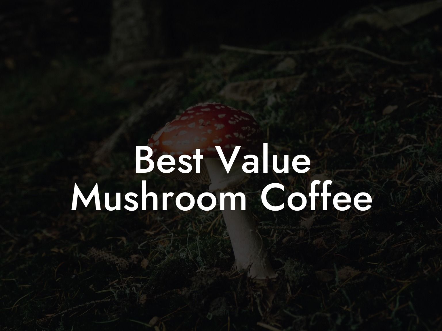 Best Value Mushroom Coffee