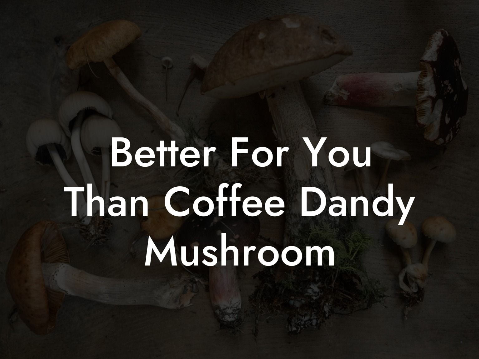 Better For You Than Coffee Dandy Mushroom