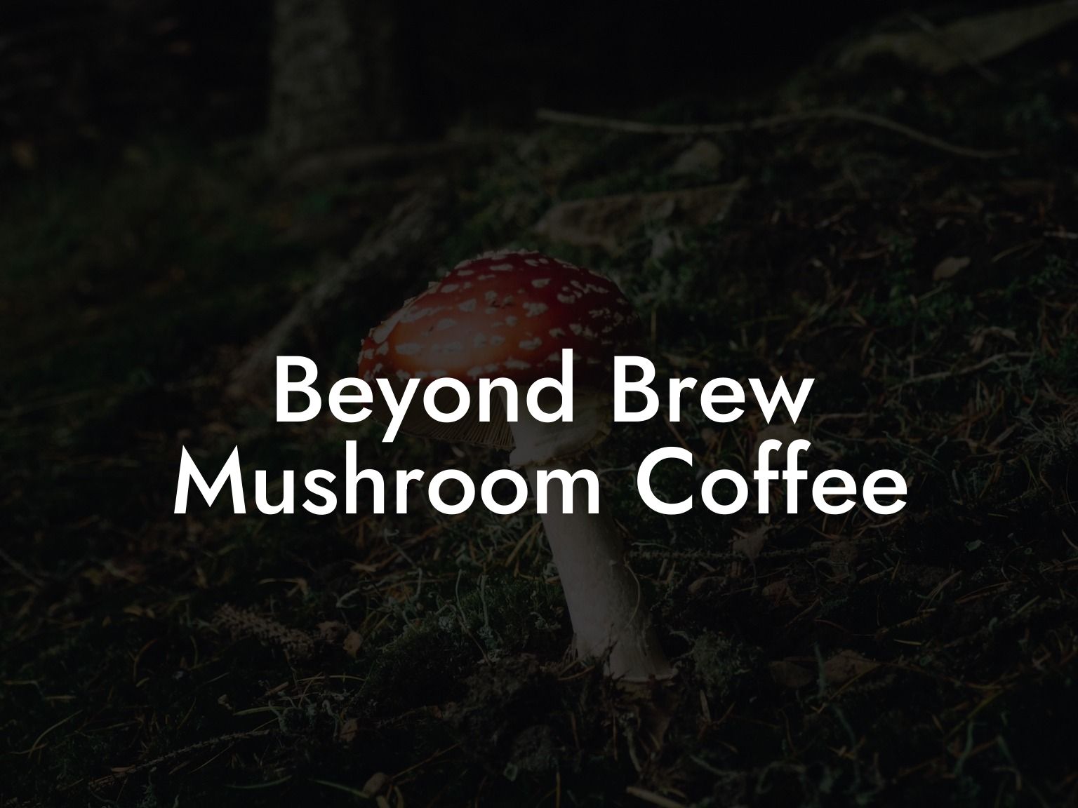 Beyond Brew Mushroom Coffee