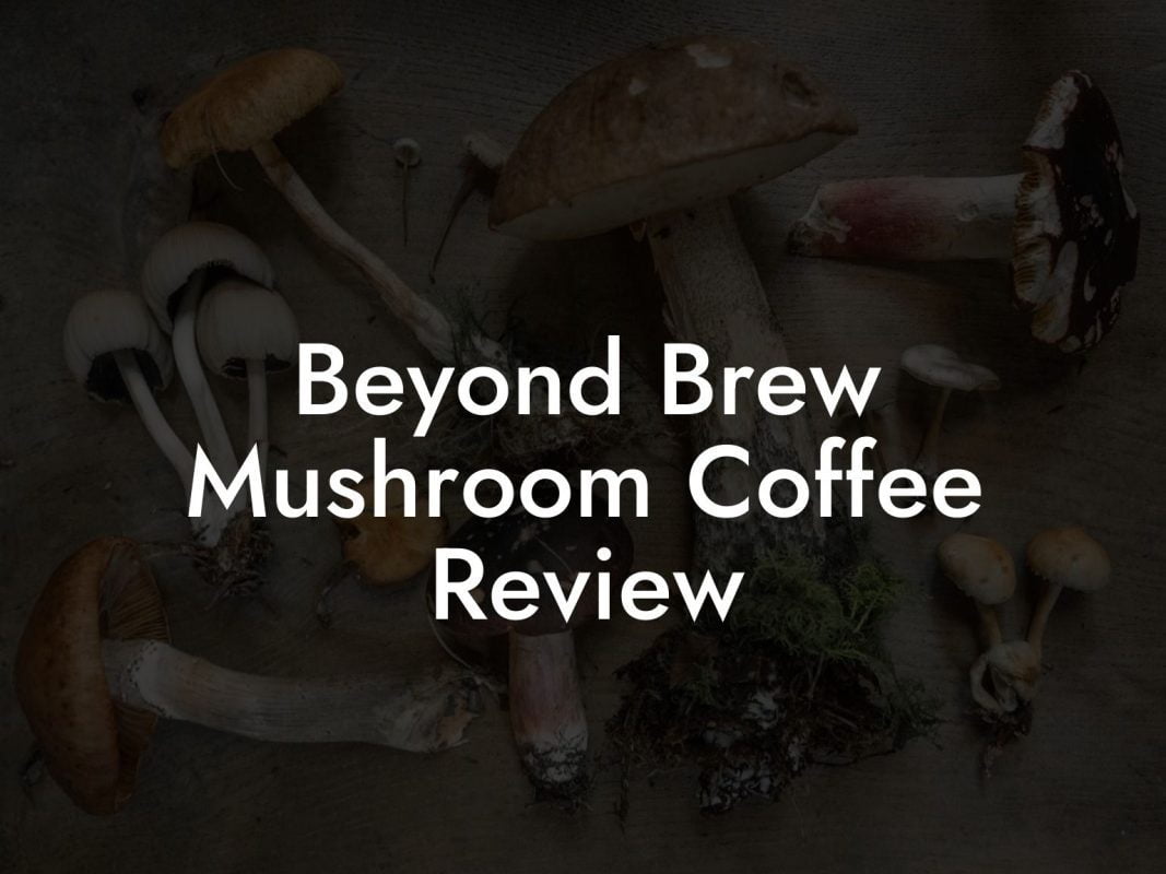 Beyond Brew Mushroom Coffee Review