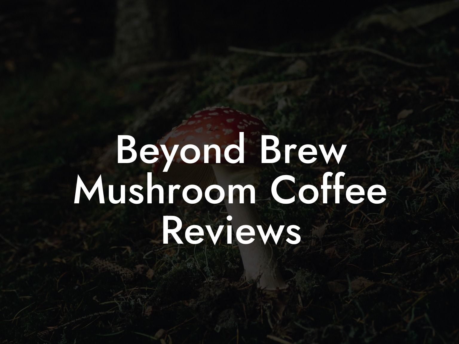 Beyond Brew Mushroom Coffee Reviews