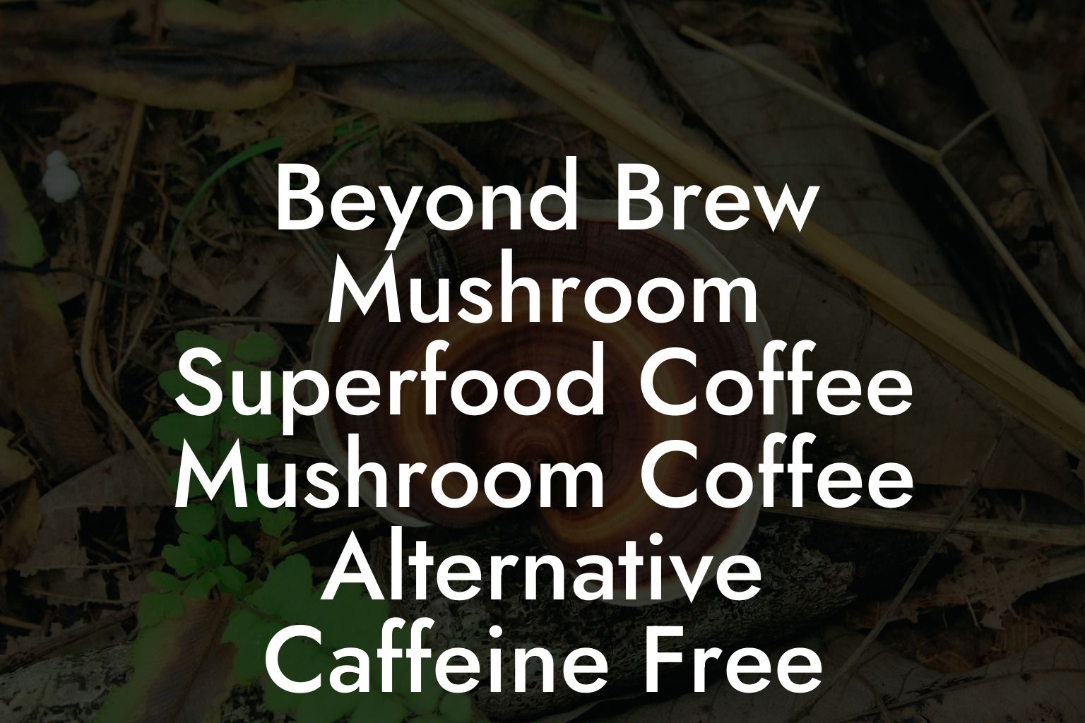 Beyond Brew Mushroom Superfood Coffee Mushroom Coffee Alternative Caffeine Free