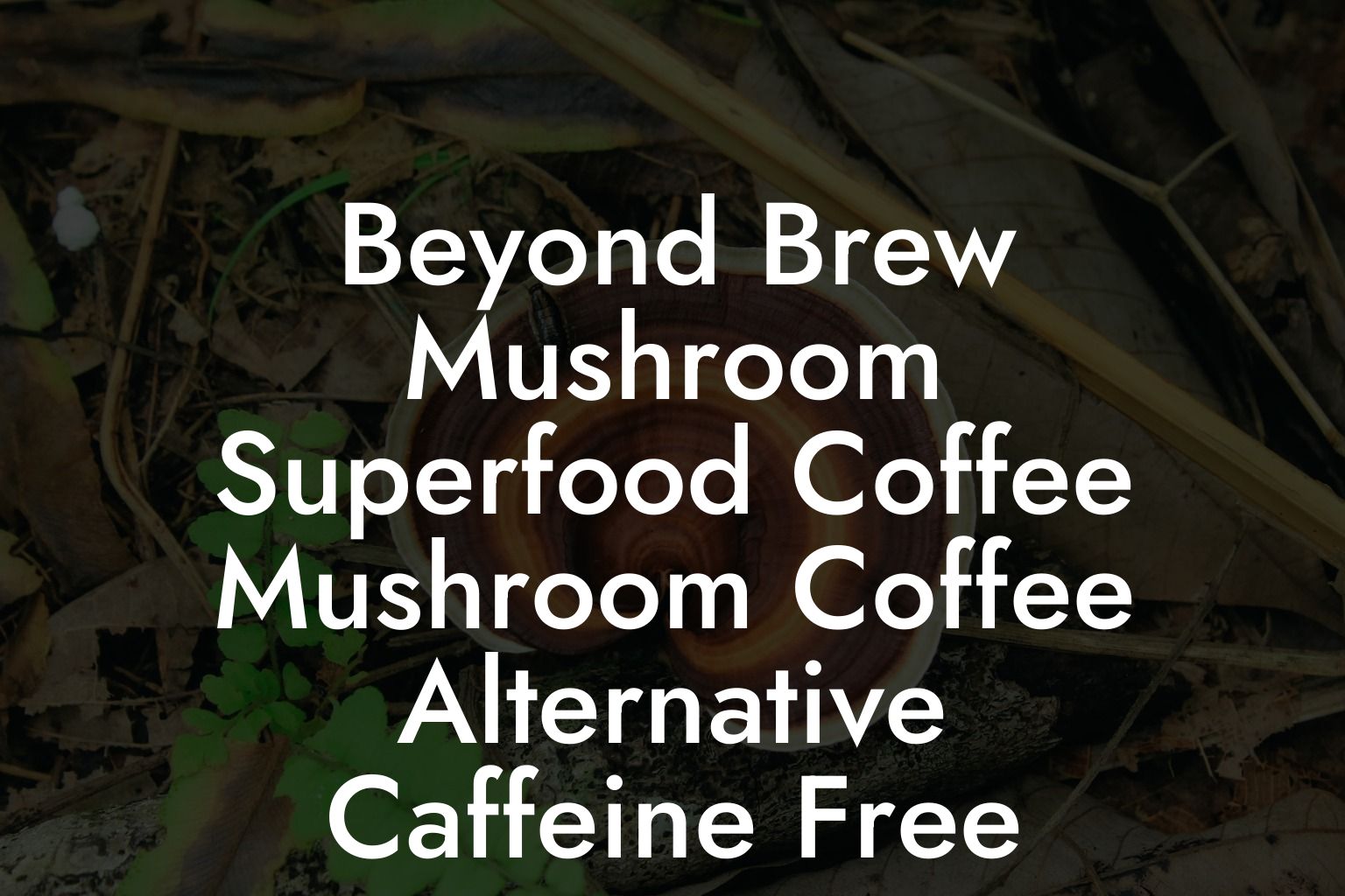 Beyond Brew Mushroom Superfood Coffee Mushroom Coffee Alternative