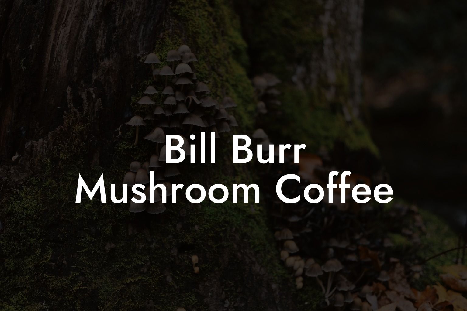 Bill Burr Mushroom Coffee