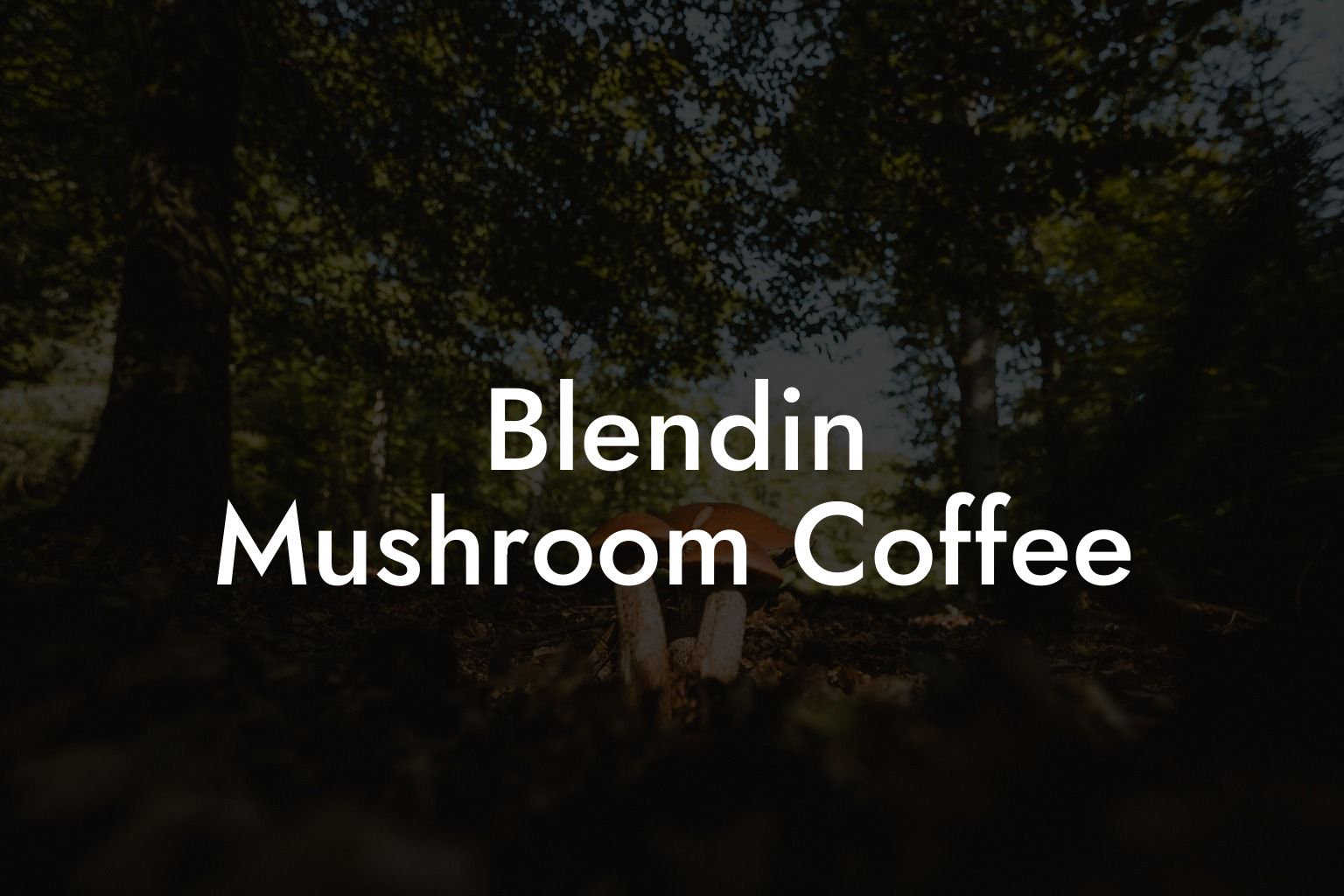 Blendin Mushroom Coffee