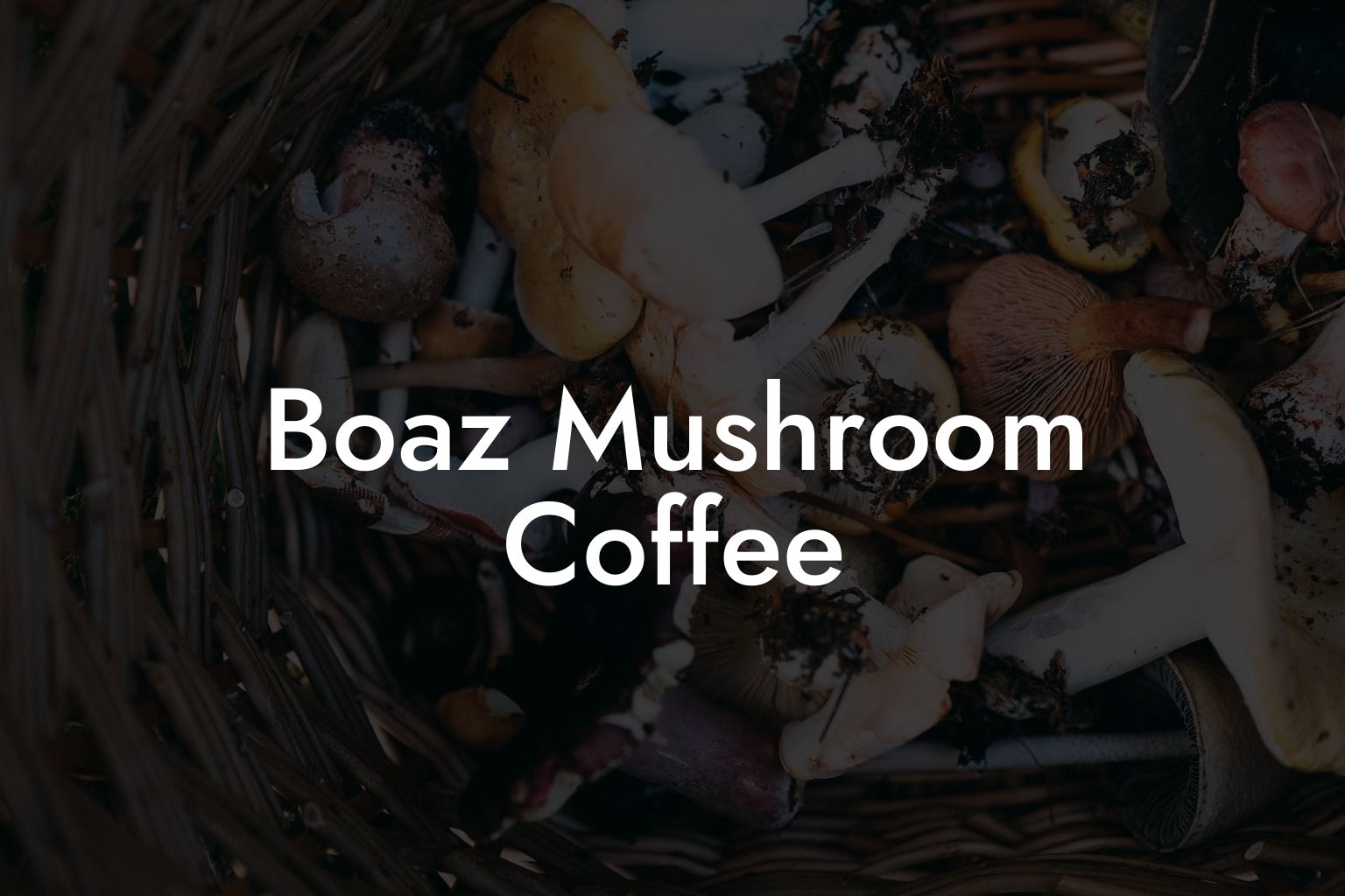 Boaz Mushroom Coffee