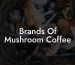 Brands Of Mushroom Coffee
