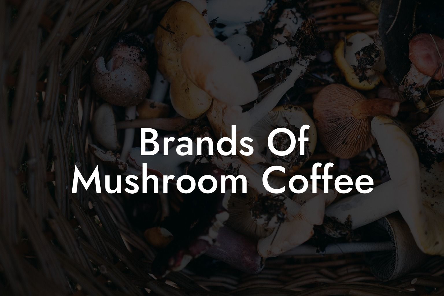 Brands Of Mushroom Coffee