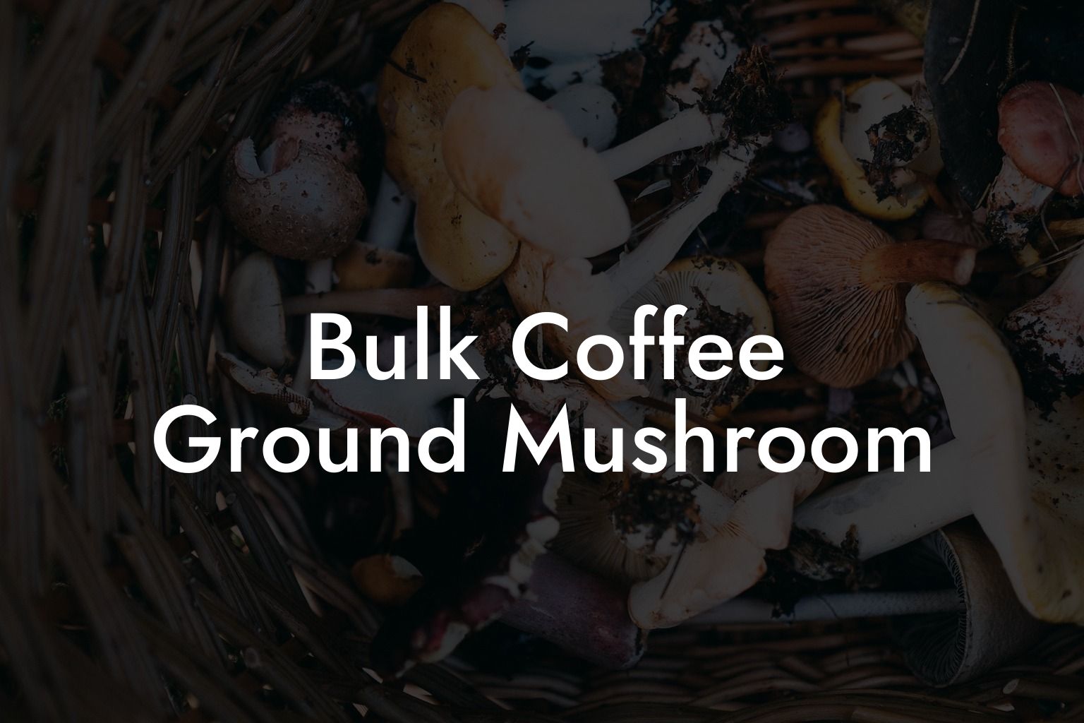 Bulk Coffee Ground Mushroom