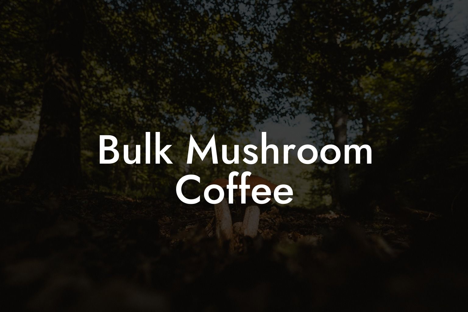 Bulk Mushroom Coffee