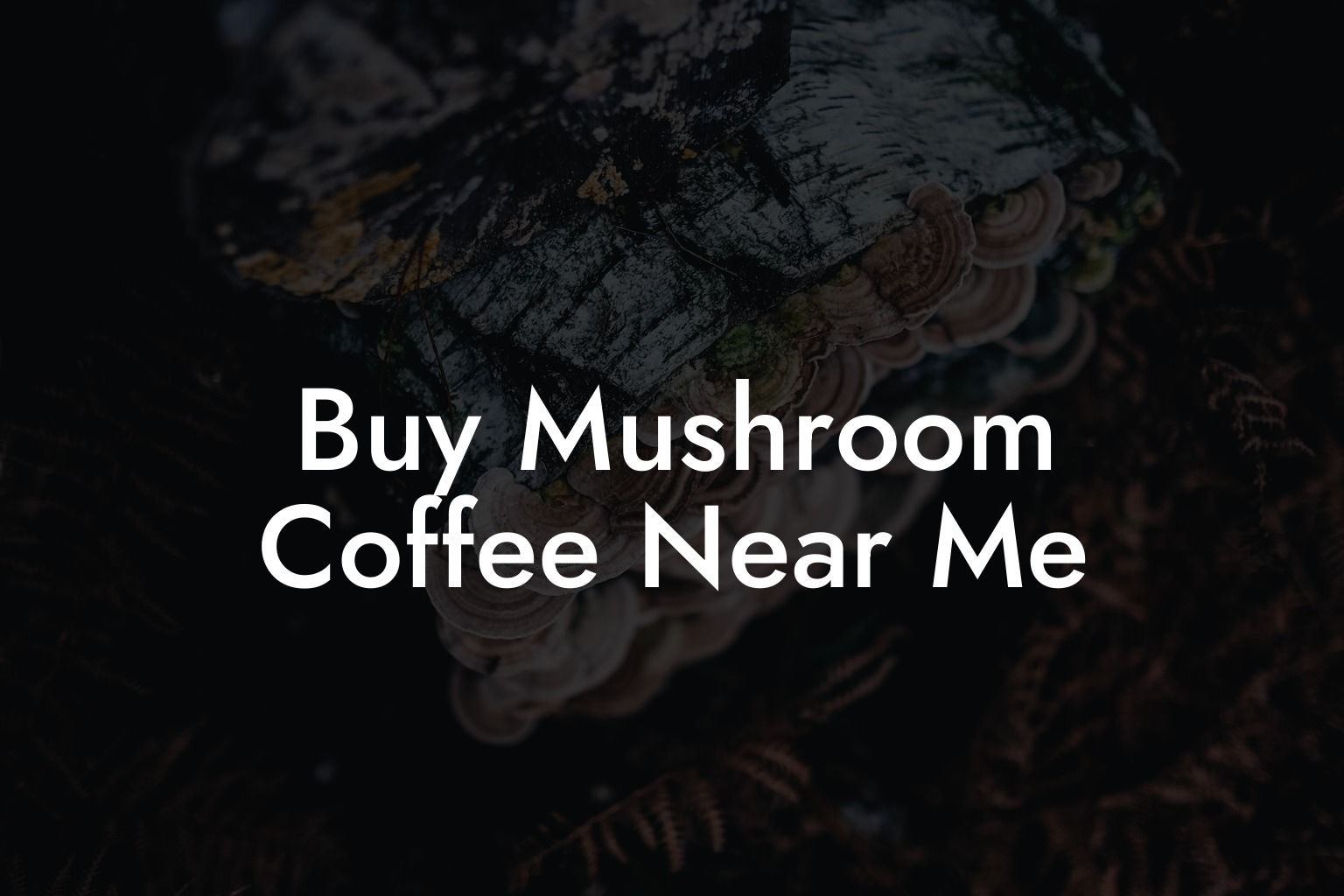 Buy Mushroom Coffee Near Me