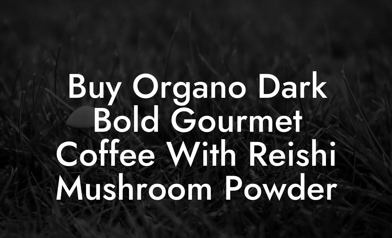 Buy Organo Dark Bold Gourmet Coffee With Reishi Mushroom Powder