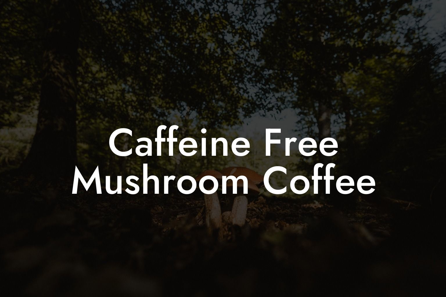 Caffeine Free Mushroom Coffee