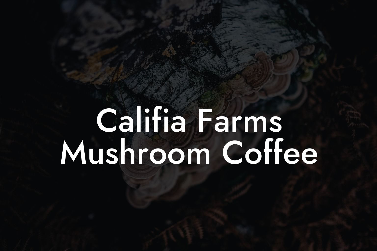 Califia Farms Mushroom Coffee