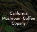 California Mushroom Coffee Copany