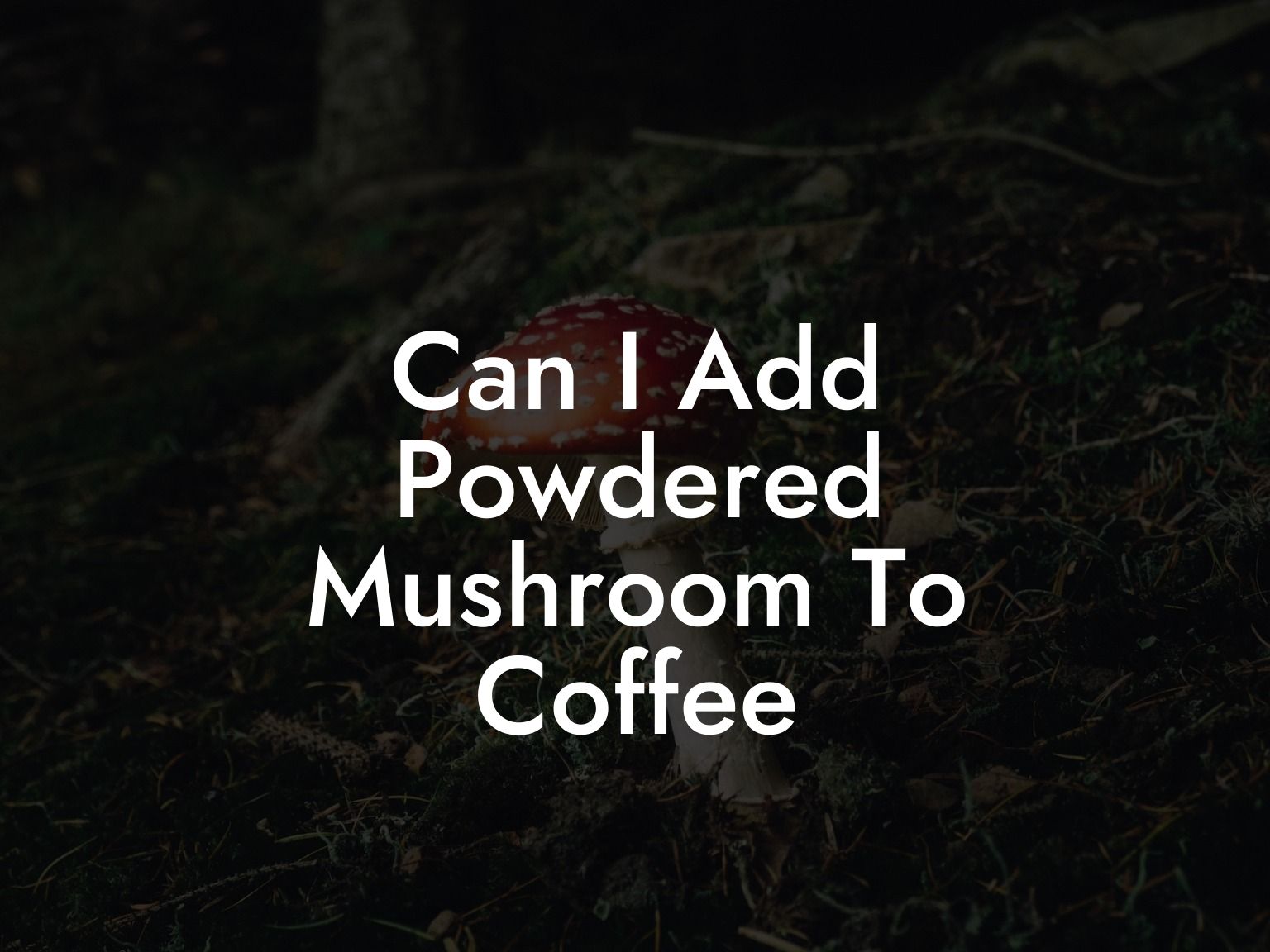 Can I Add Powdered Mushroom To Coffee