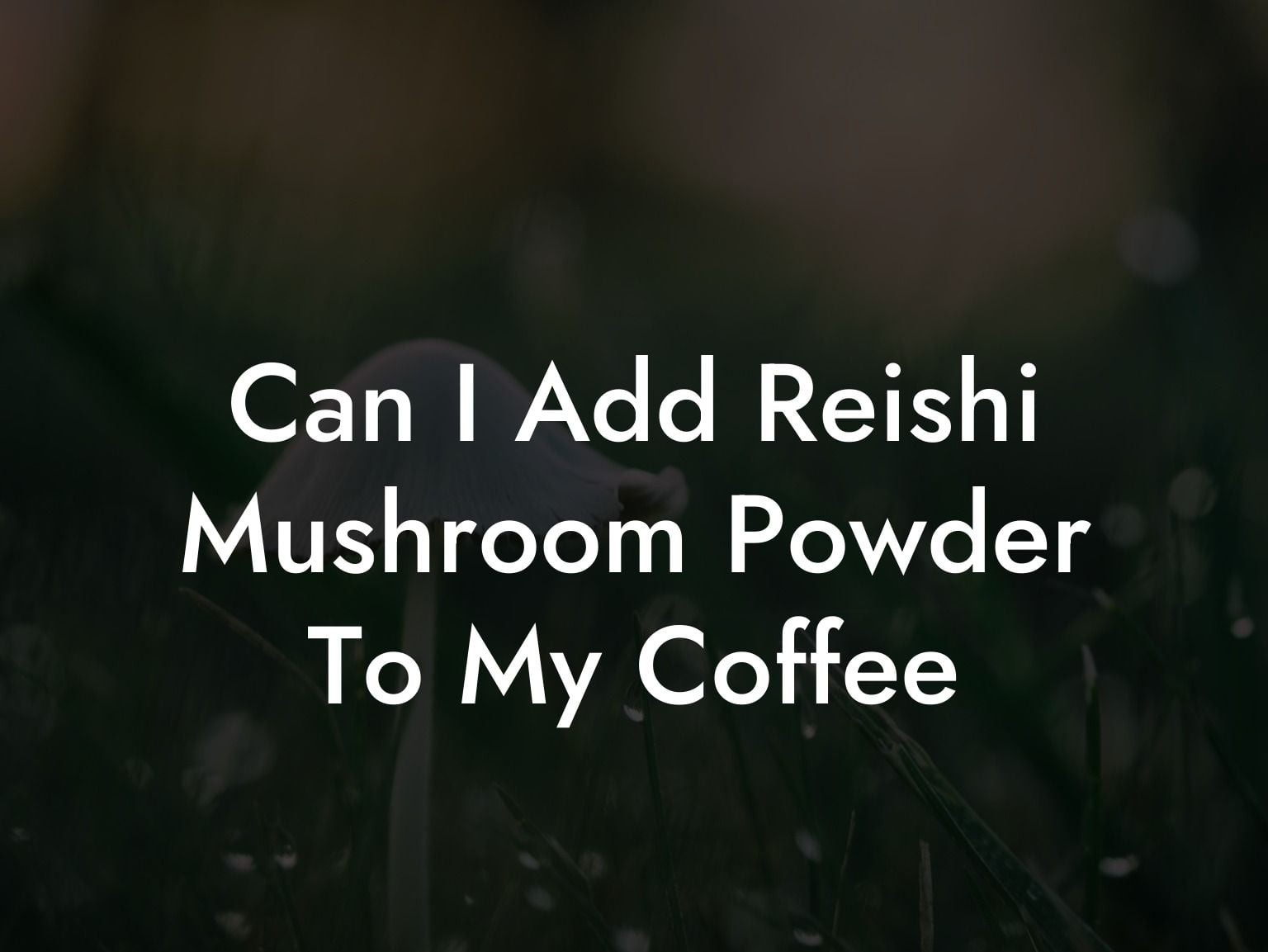Can I Add Reishi Mushroom Powder To My Coffee