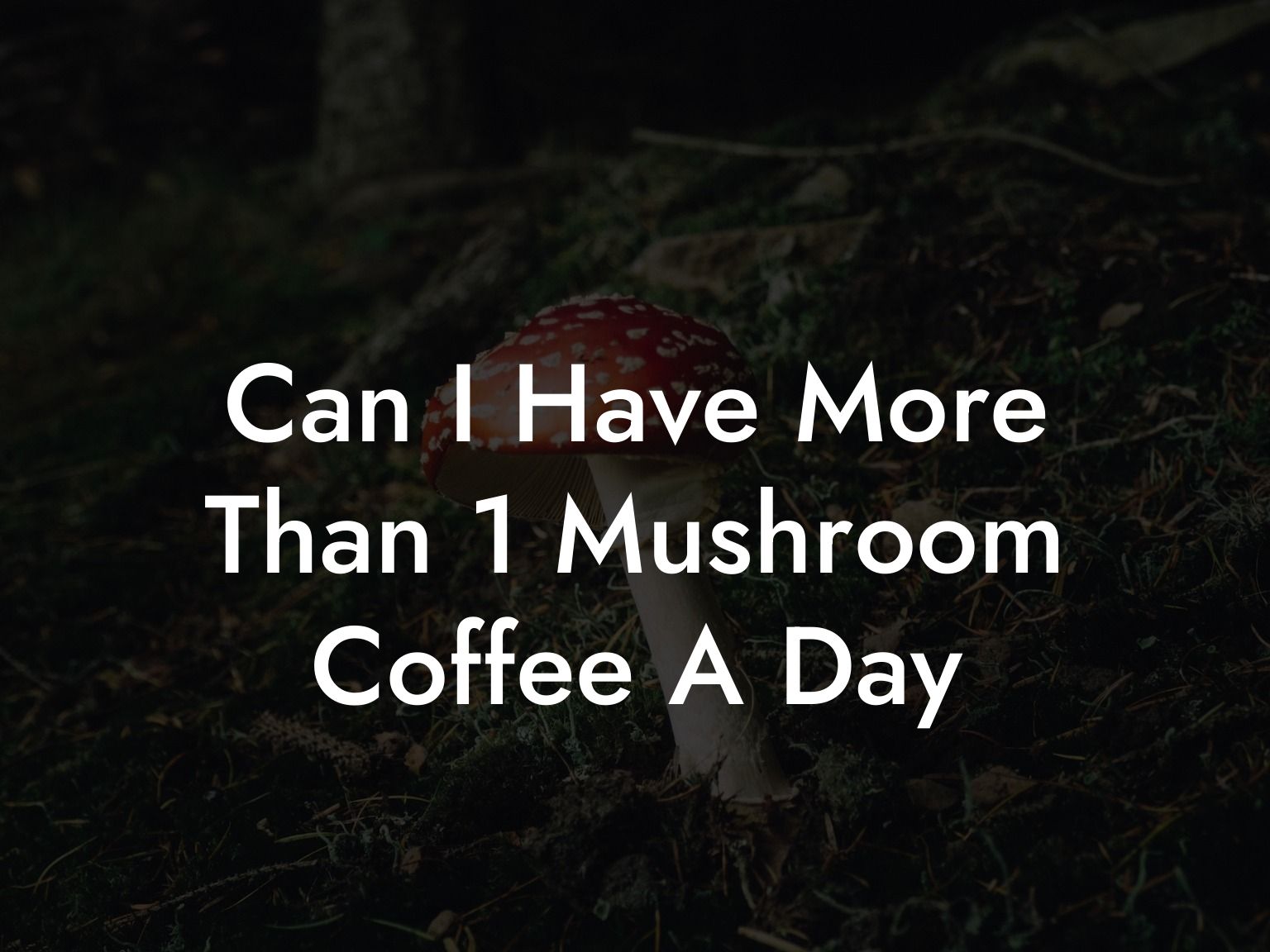 Can I Have More Than 1 Mushroom Coffee A Day