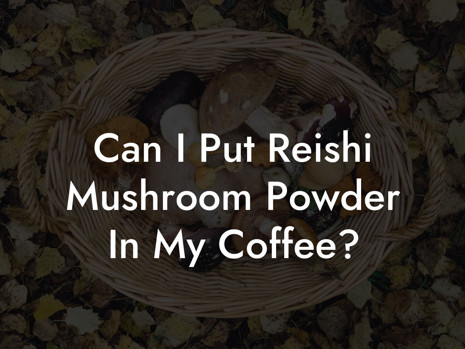 Can I Put Reishi Mushroom Powder In My Coffee?