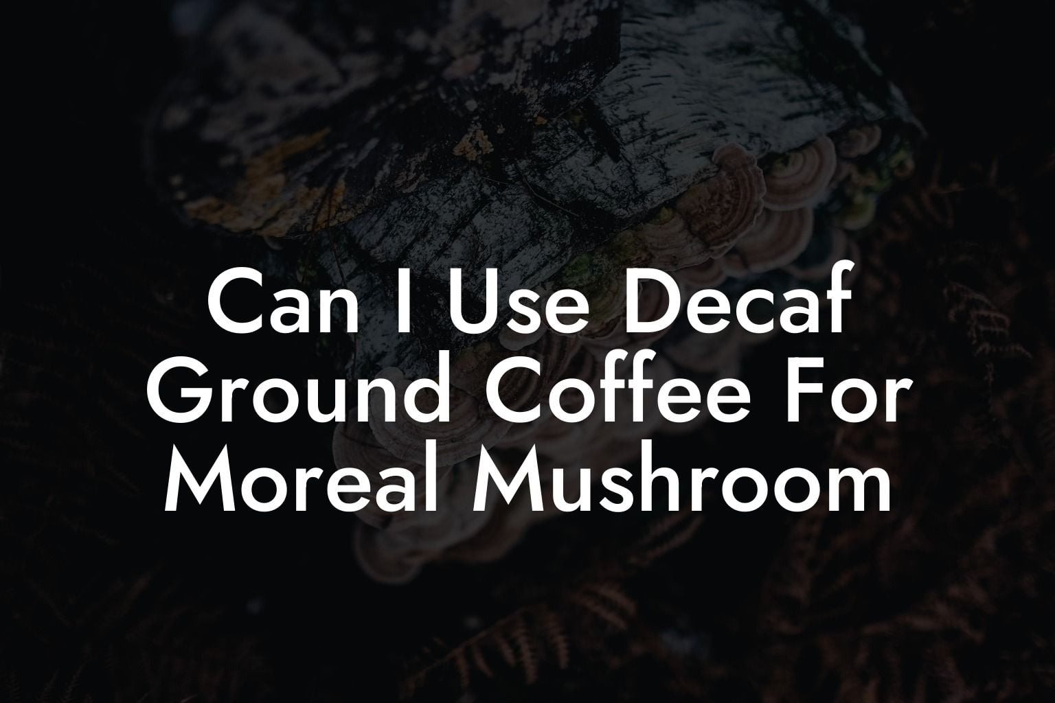 Can I Use Decaf Ground Coffee For Moreal Mushroom
