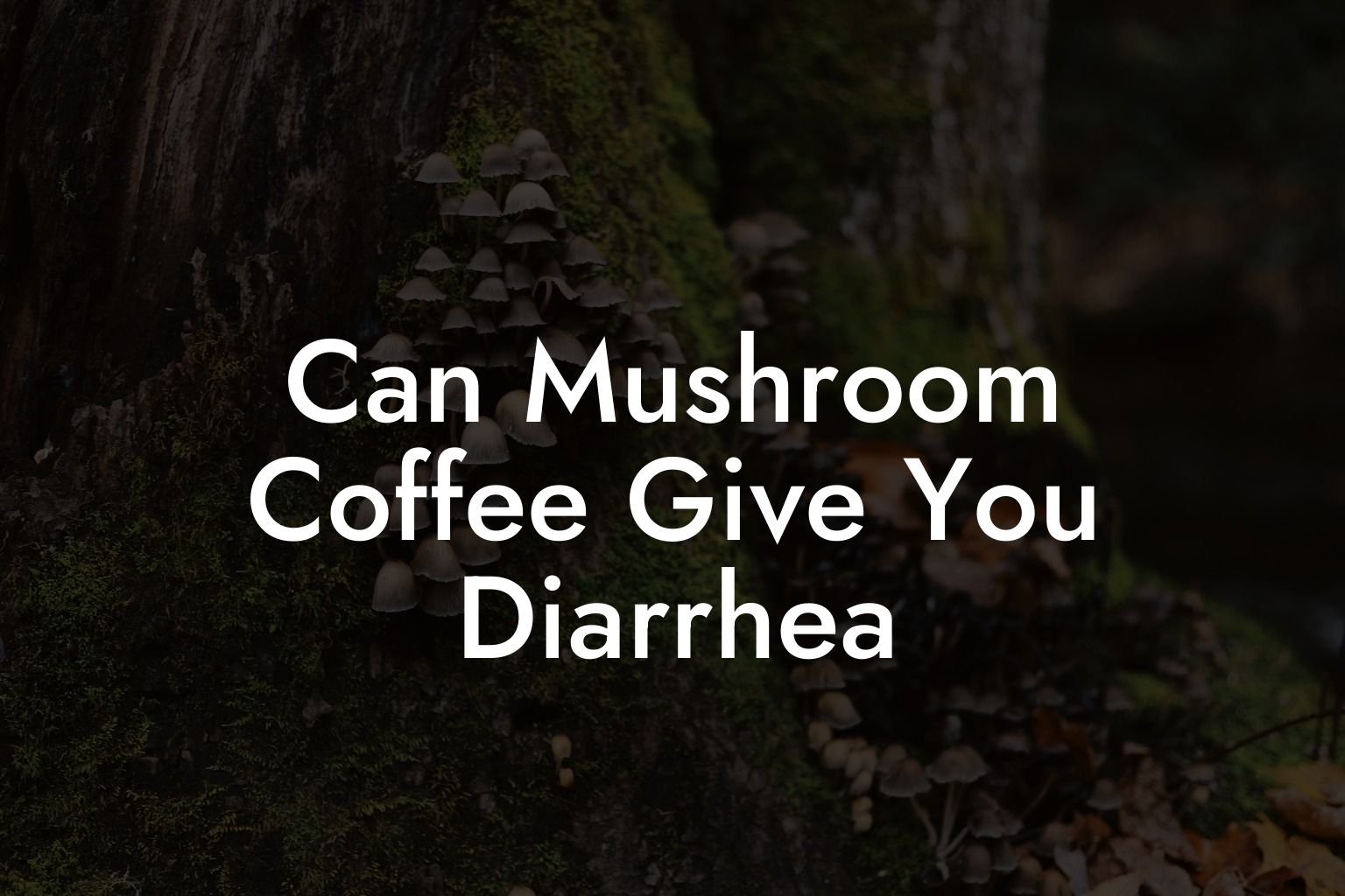 Can Mushroom Coffee Give You Diarrhea
