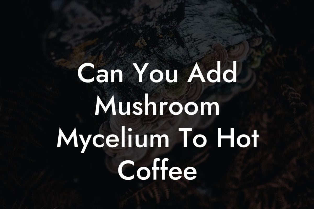 Can You Add Mushroom Mycelium To Hot Coffee